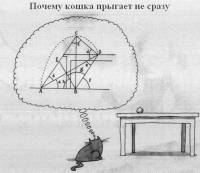 Фанфик День из особенной жизни.